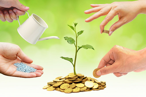 नागेबाबा मल्टिस्टेट ठेव योजना